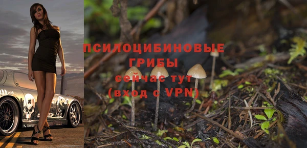 синтетический гашиш Зеленодольск