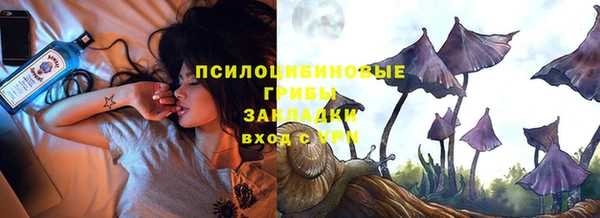 меф Инсар