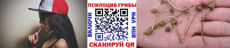 Галлюциногенные грибы Magic Shrooms  Купить  Армавир 